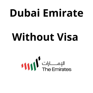 Company Registration in Dubai FreeZone (without VISA)